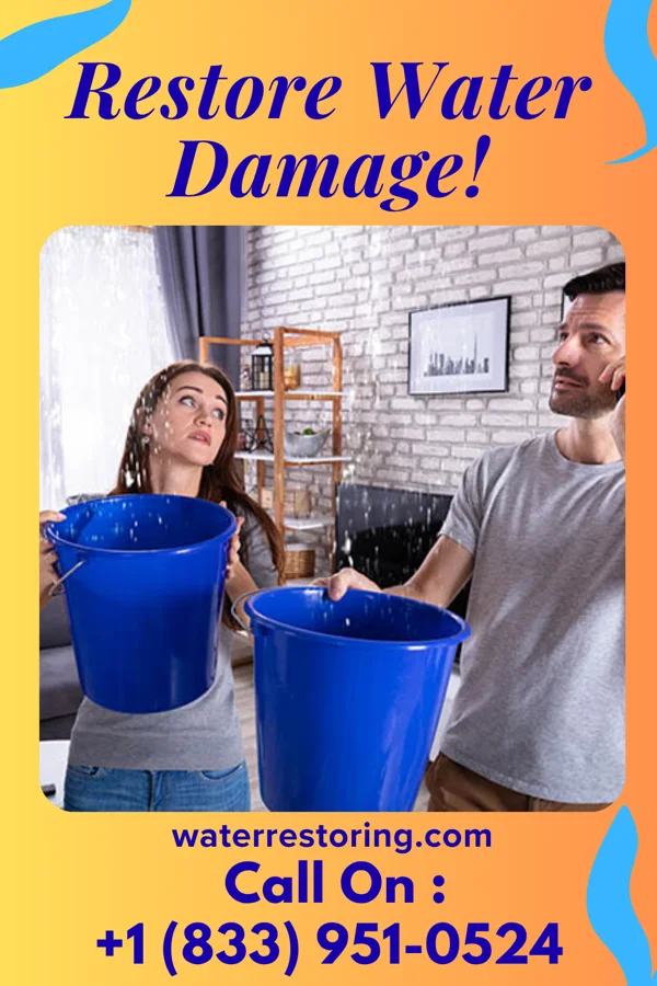 water restoration Elite Damage Recovery LLC Bellevue