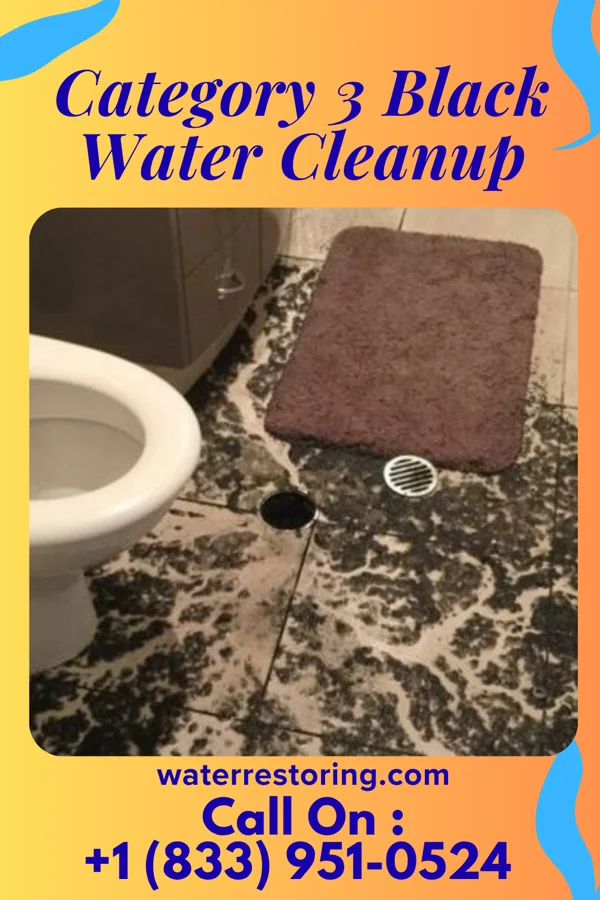 Category 3 Black Water Cleanup in Bellevue, WI
