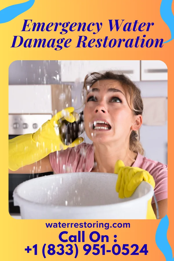 Emergency Water Damage Restoration in Bellevue, WI