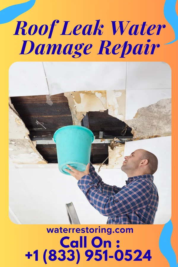 Roof Leak Water Damage Repair in Bellevue, WI