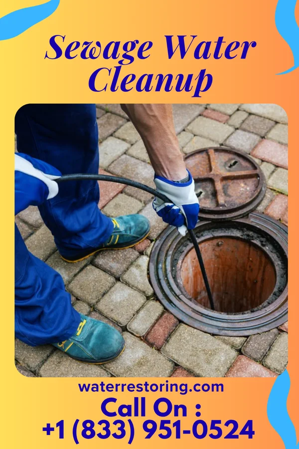 Sewage Water Cleanup in Bellevue, WI